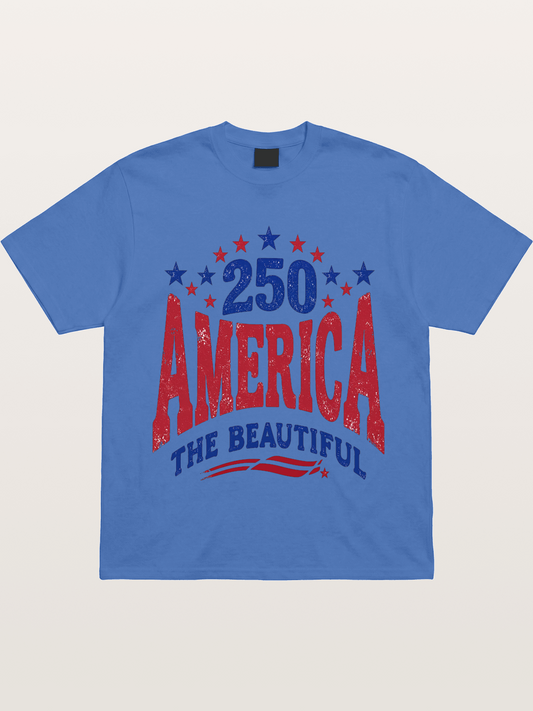 America The Beautiful Vintage Gildan T-shirt