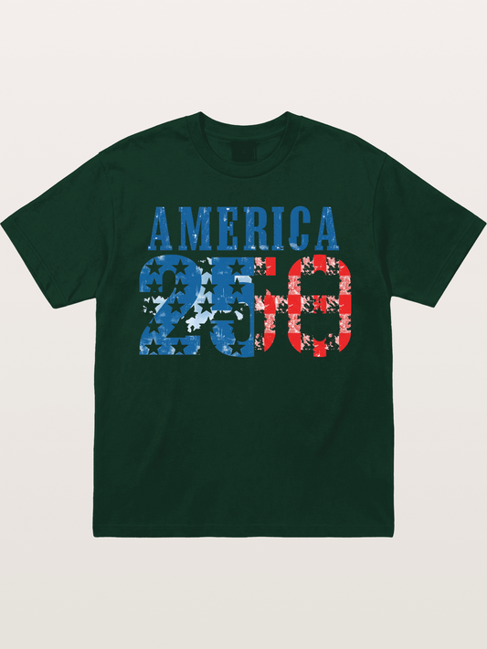 America 250 Grunge Typography Gildan T-shirt
