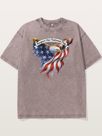 Flag Wing Eagle Banner Art Washed T-shirt