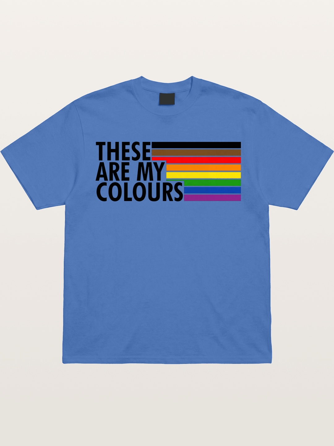 These Are My Colours Progress Flag Gildan T-shirt