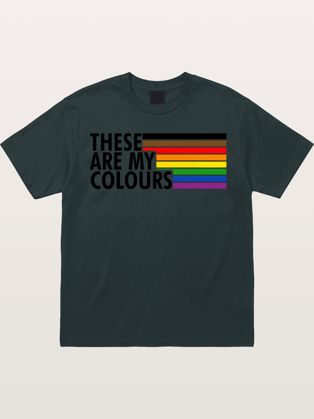 These Are My Colours Progress Flag Gildan T-shirt
