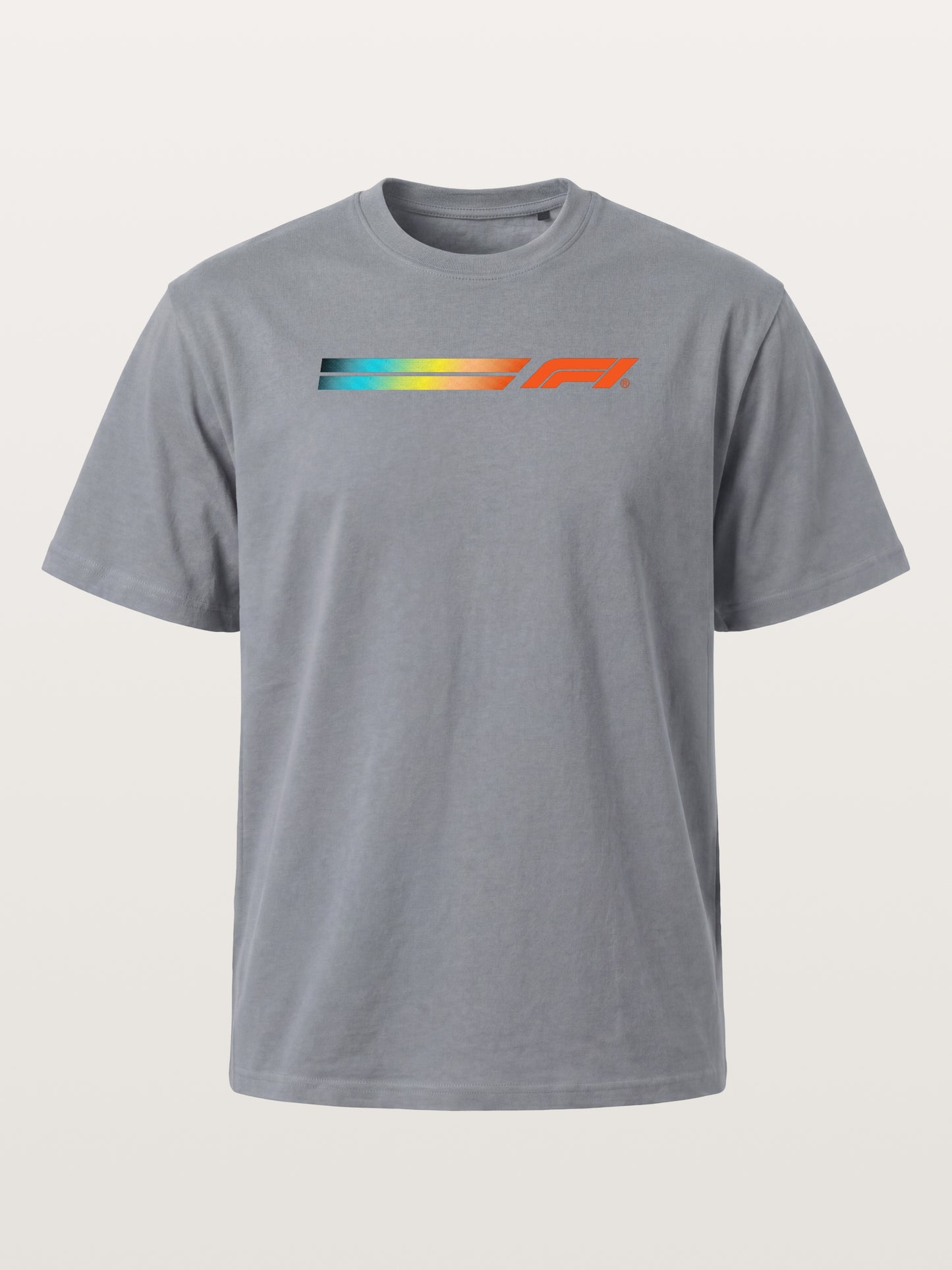 F1 Rainbow Gradient Stripe Banner Gildan T-shirt