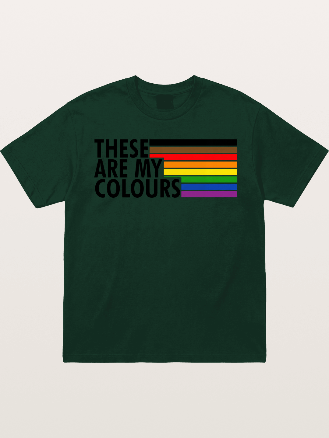 These Are My Colours Progress Flag Gildan T-shirt