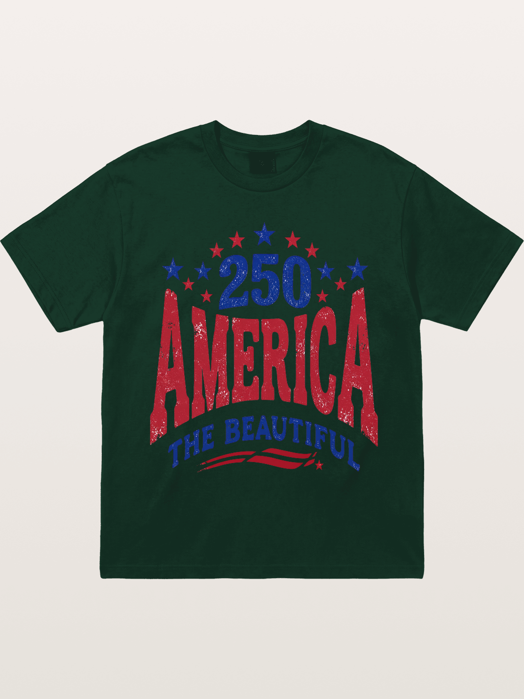 America The Beautiful Vintage Gildan T-shirt