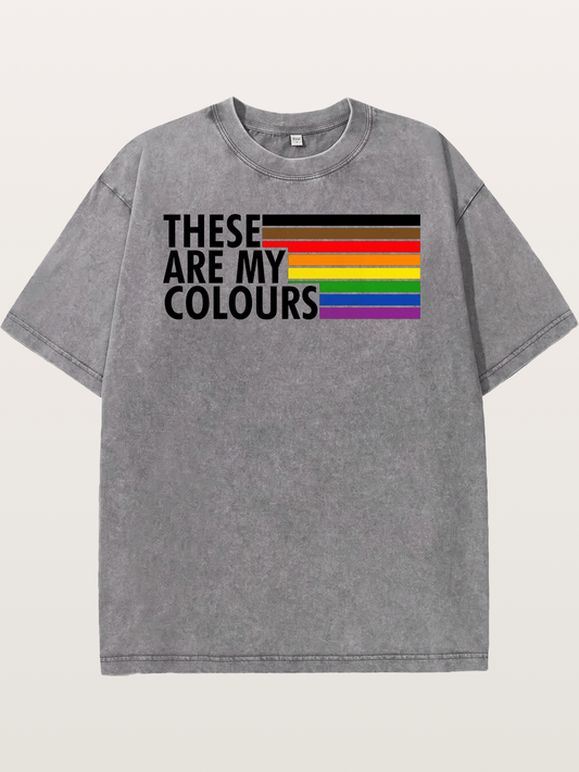 These Are My Colours Progress Flag Washed T-shirt