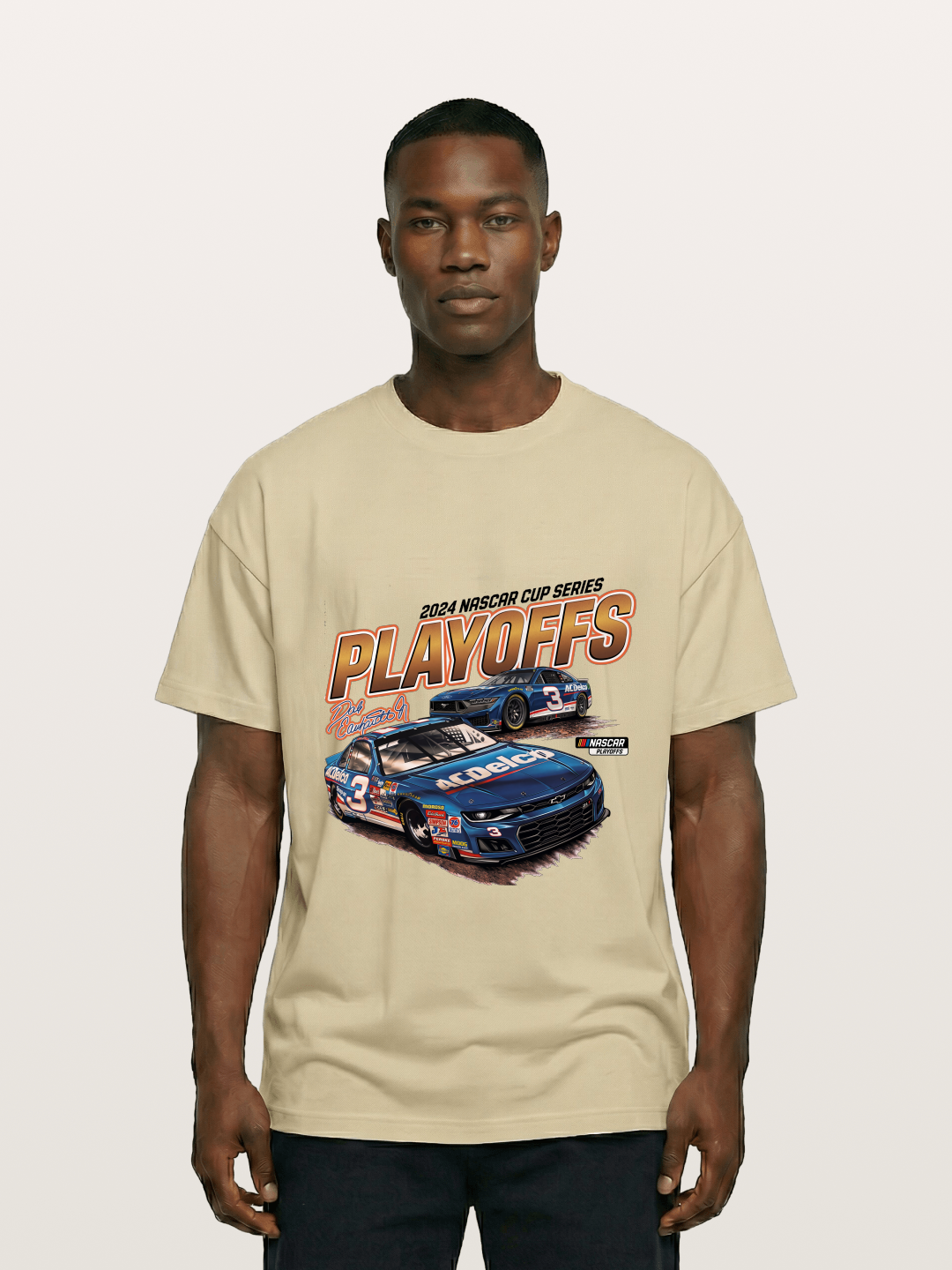 2024 NASCAR Playoffs Graphic Gildan T-shirt