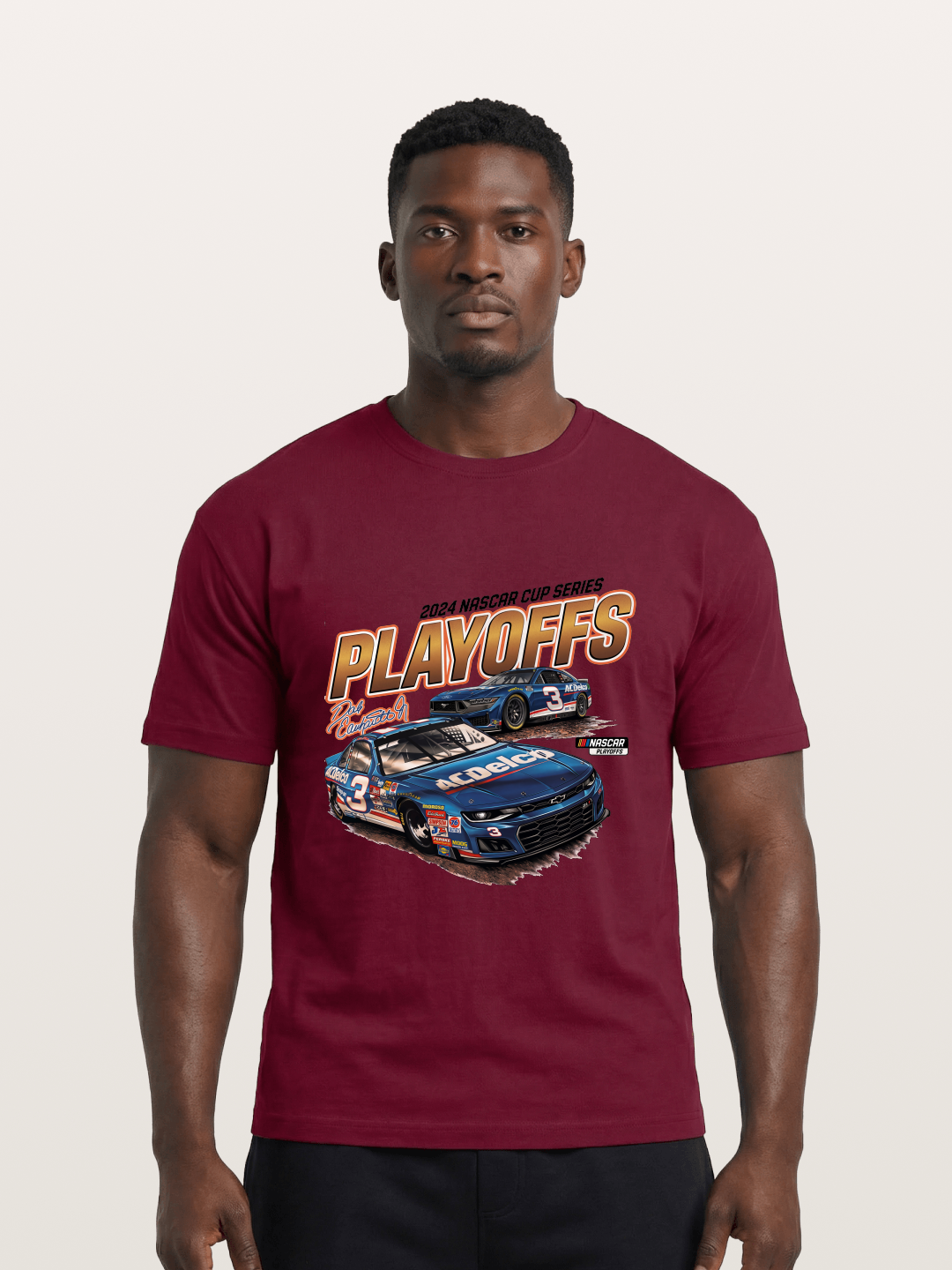 2024 NASCAR Playoffs Graphic Gildan T-shirt