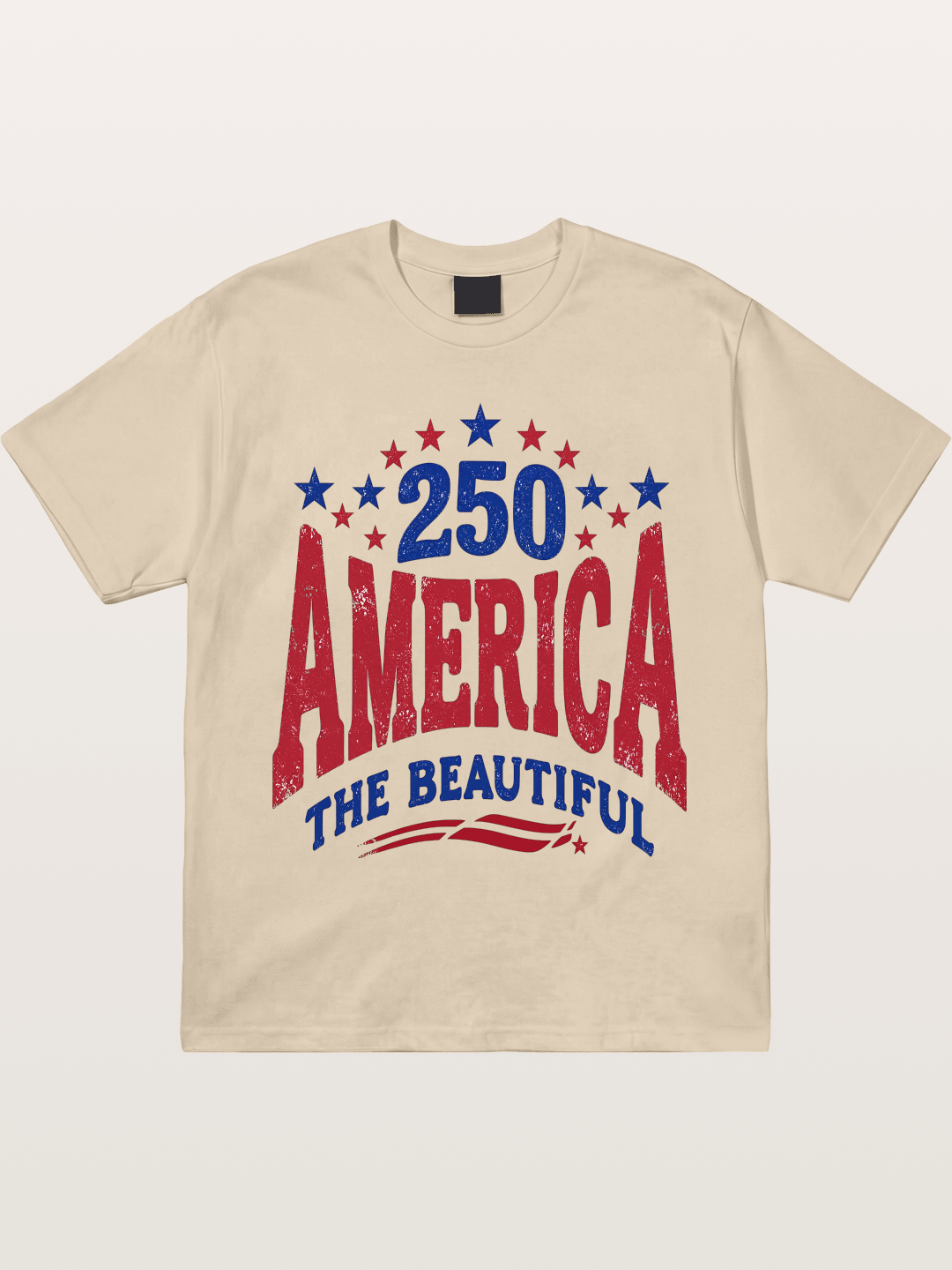 America The Beautiful Vintage Gildan T-shirt