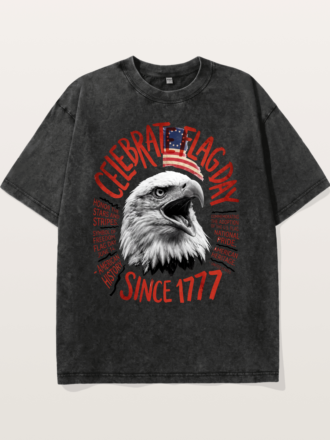 Eagle Celebrate Flag Day 1777 Washed T-shirt