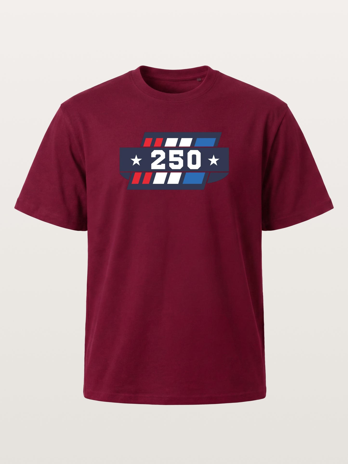 250th Anniversary Star Stripes Badge Gildan T-shirt