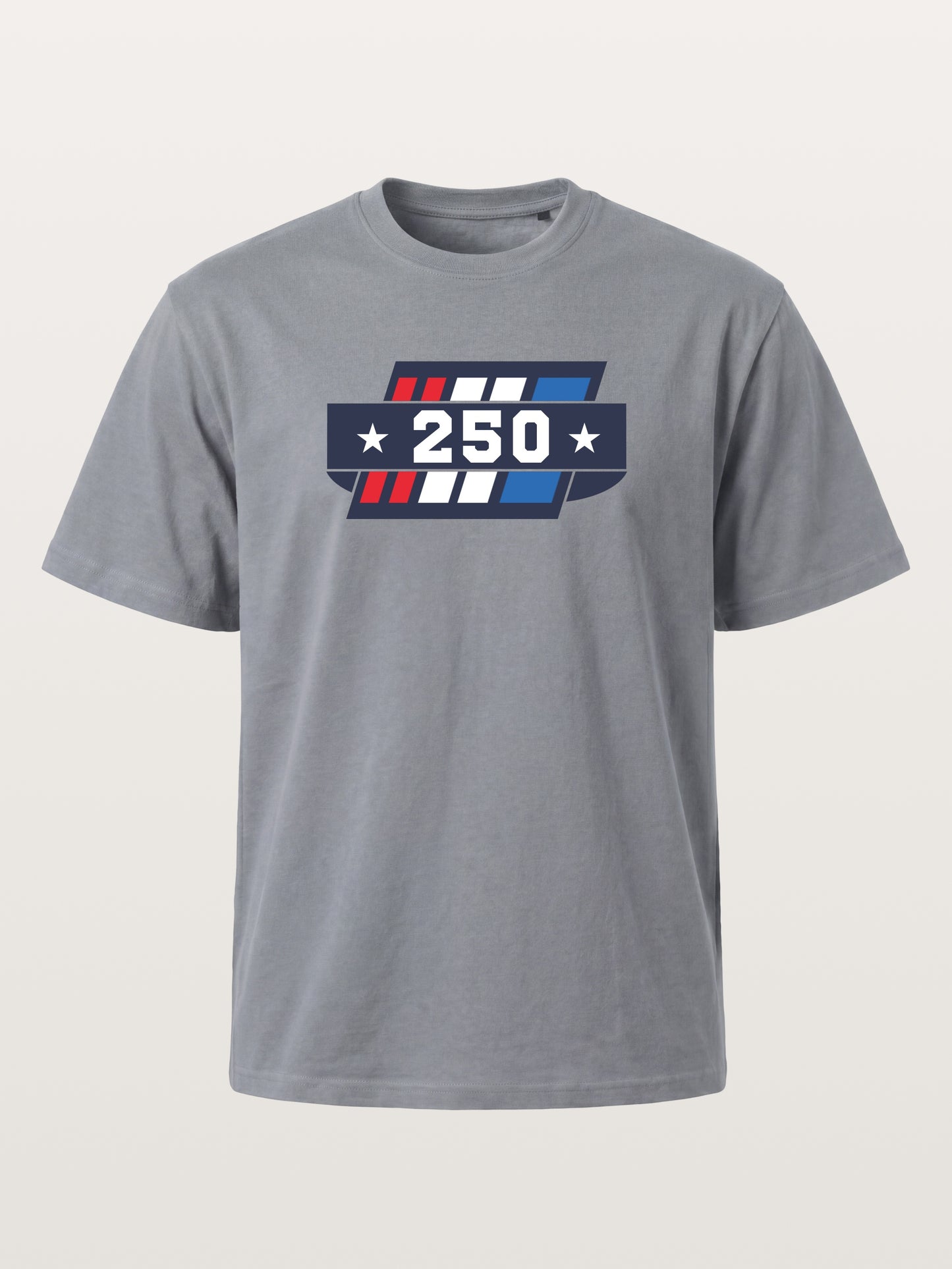 250th Anniversary Star Stripes Badge Gildan T-shirt