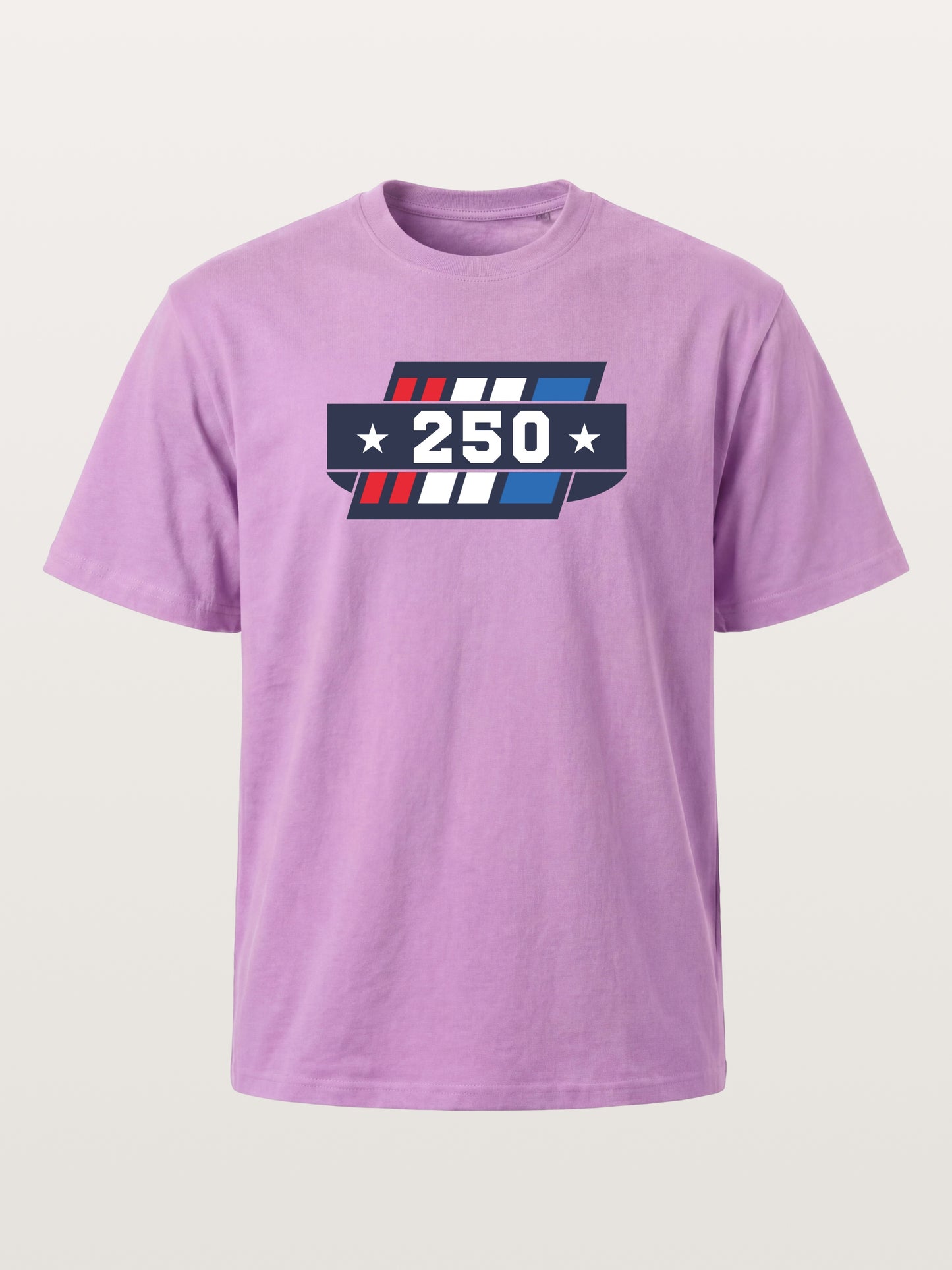 250th Anniversary Star Stripes Badge Gildan T-shirt