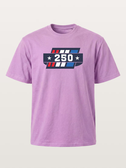250th Anniversary Star Stripes Badge Gildan T-shirt