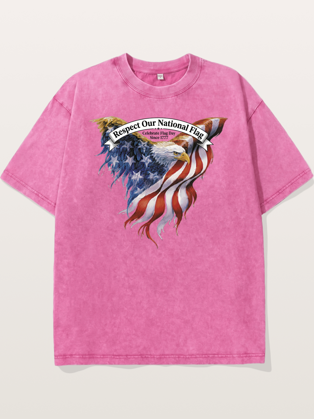 Flag Wing Eagle Banner Art Washed T-shirt