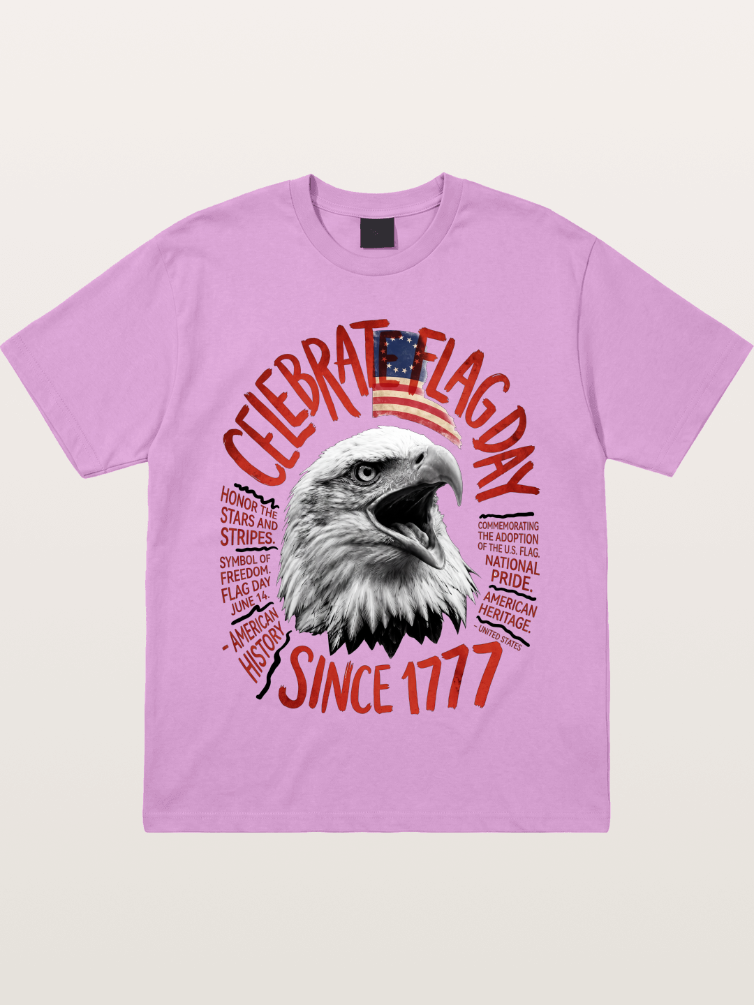Eagle Celebrate Flag Day 1777 Gildan T-shirt
