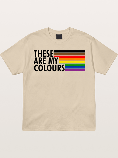 These Are My Colours Progress Flag Gildan T-shirt