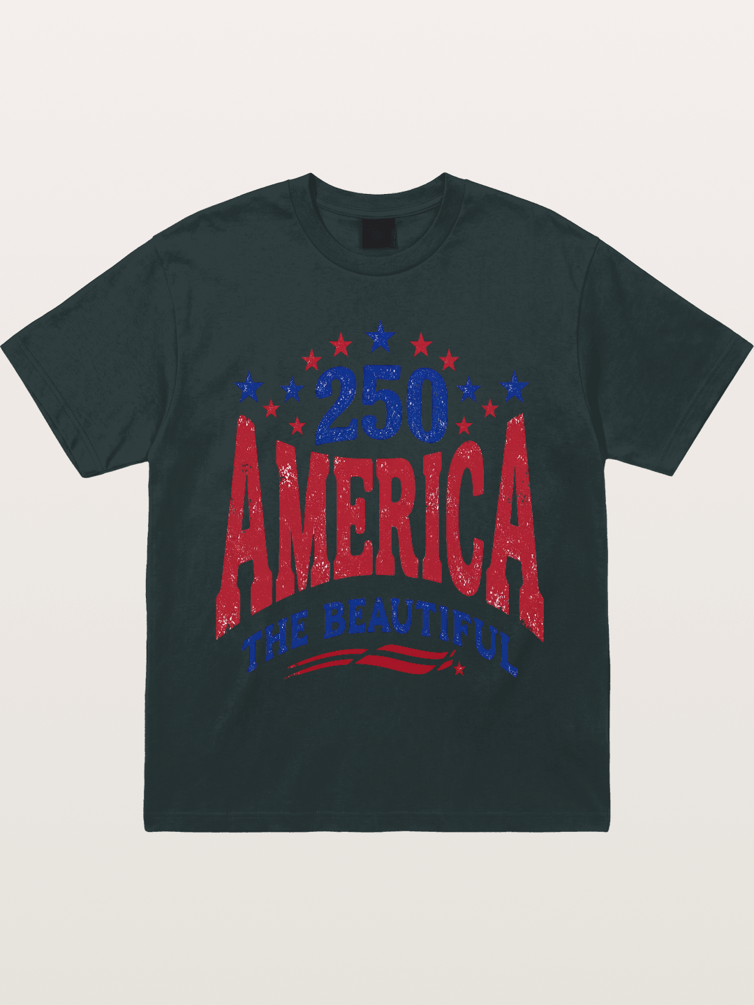 America The Beautiful Vintage Gildan T-shirt
