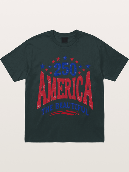 America The Beautiful Vintage Gildan T-shirt
