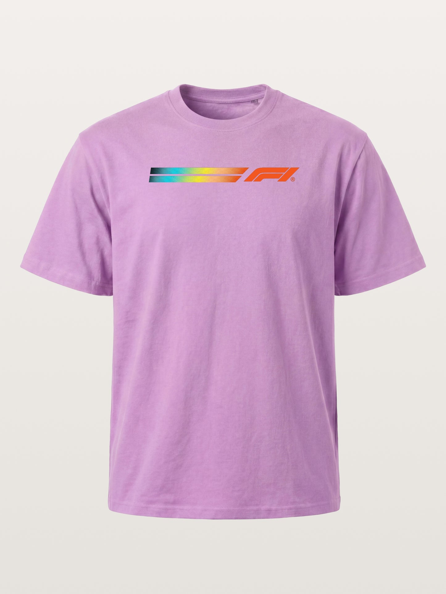 F1 Rainbow Gradient Stripe Banner Gildan T-shirt