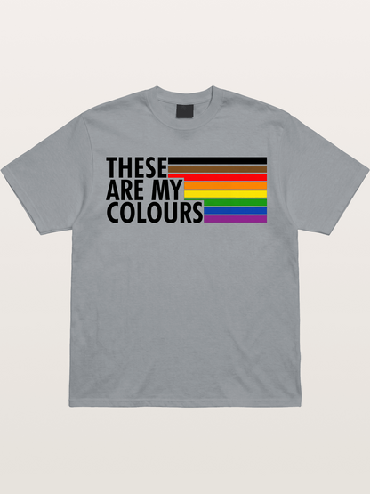 These Are My Colours Progress Flag Gildan T-shirt
