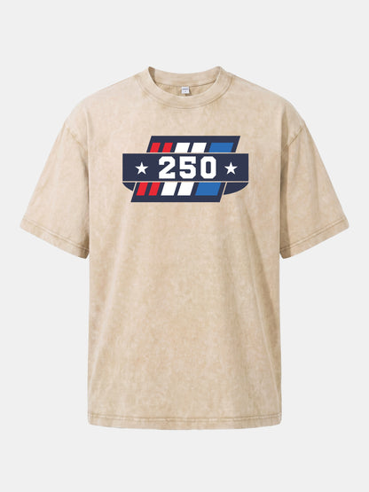 250th Anniversary Star Stripes Badge Washed T-shirt