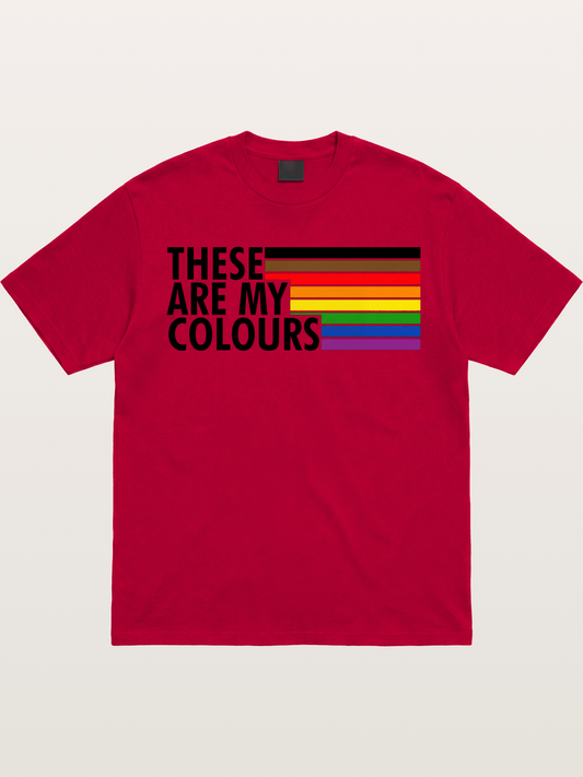 These Are My Colours Progress Flag Gildan T-shirt