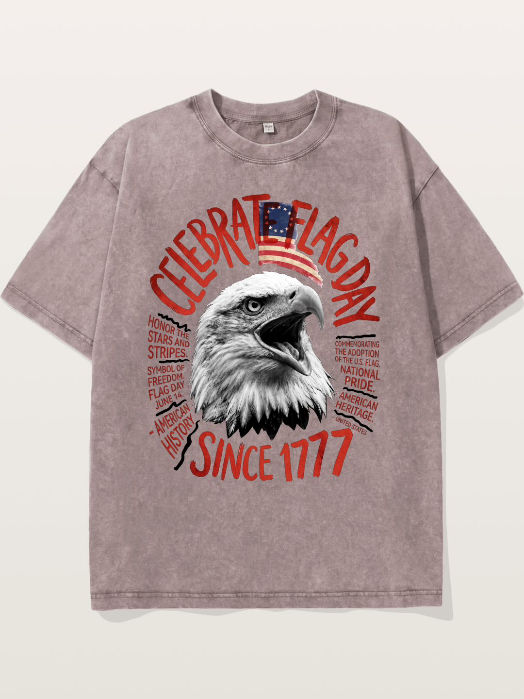 Eagle Celebrate Flag Day 1777 Washed T-shirt