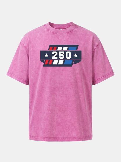 250th Anniversary Star Stripes Badge Washed T-shirt