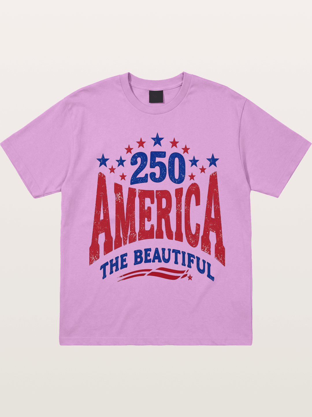 America The Beautiful Vintage Gildan T-shirt