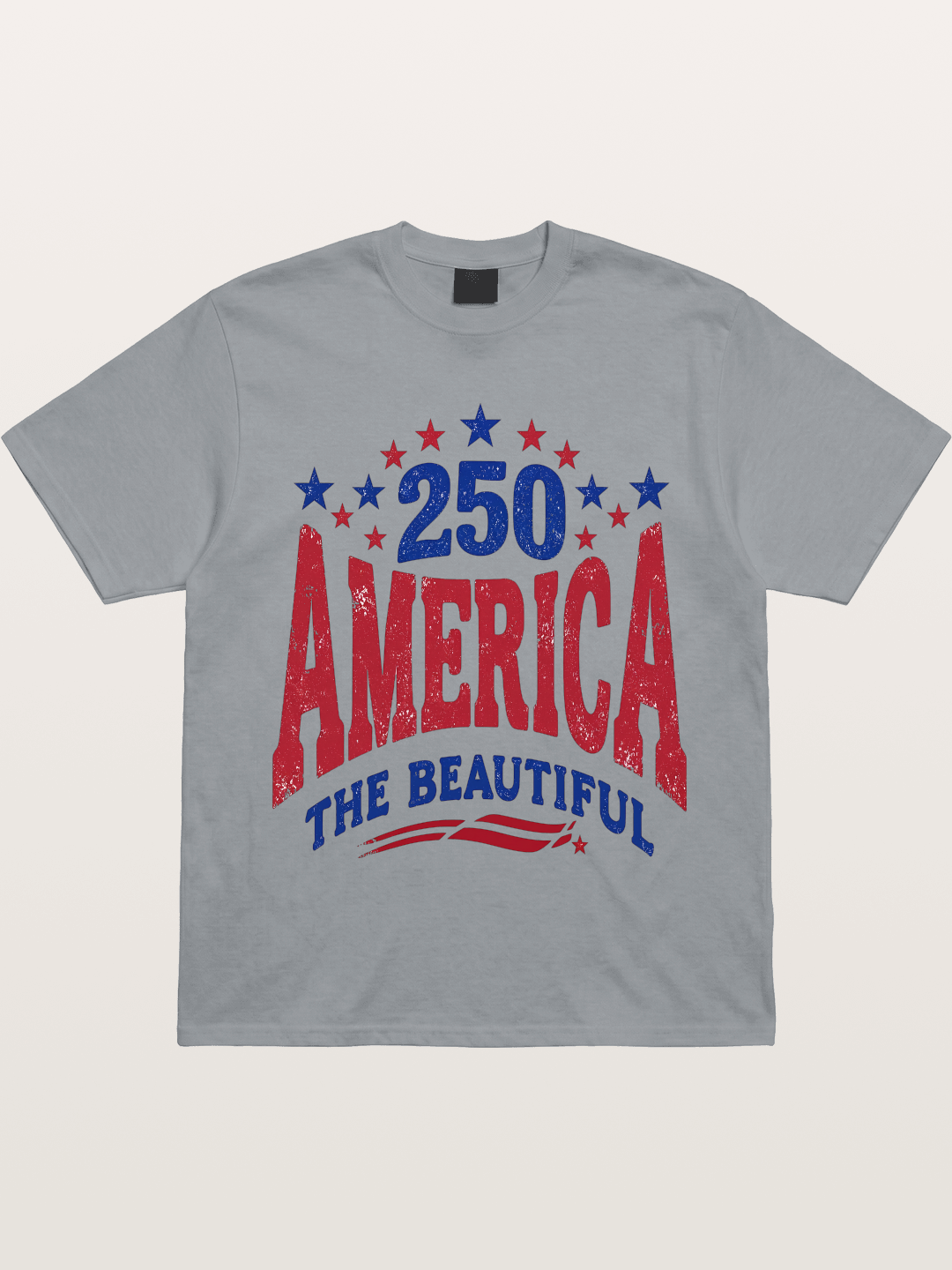 America The Beautiful Vintage Gildan T-shirt