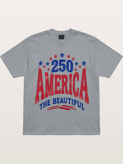 America The Beautiful Vintage Gildan T-shirt