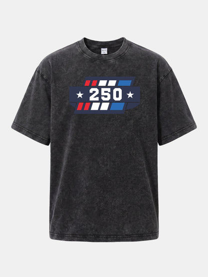 250th Anniversary Star Stripes Badge Washed T-shirt