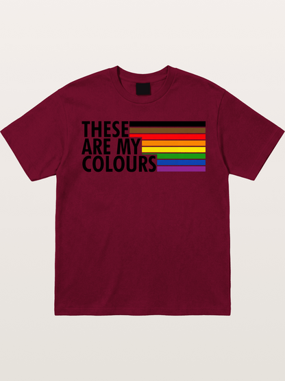 These Are My Colours Progress Flag Gildan T-shirt