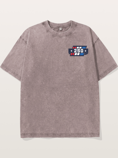 250th Anniversary Star Stripes Badge Washed T-shirt