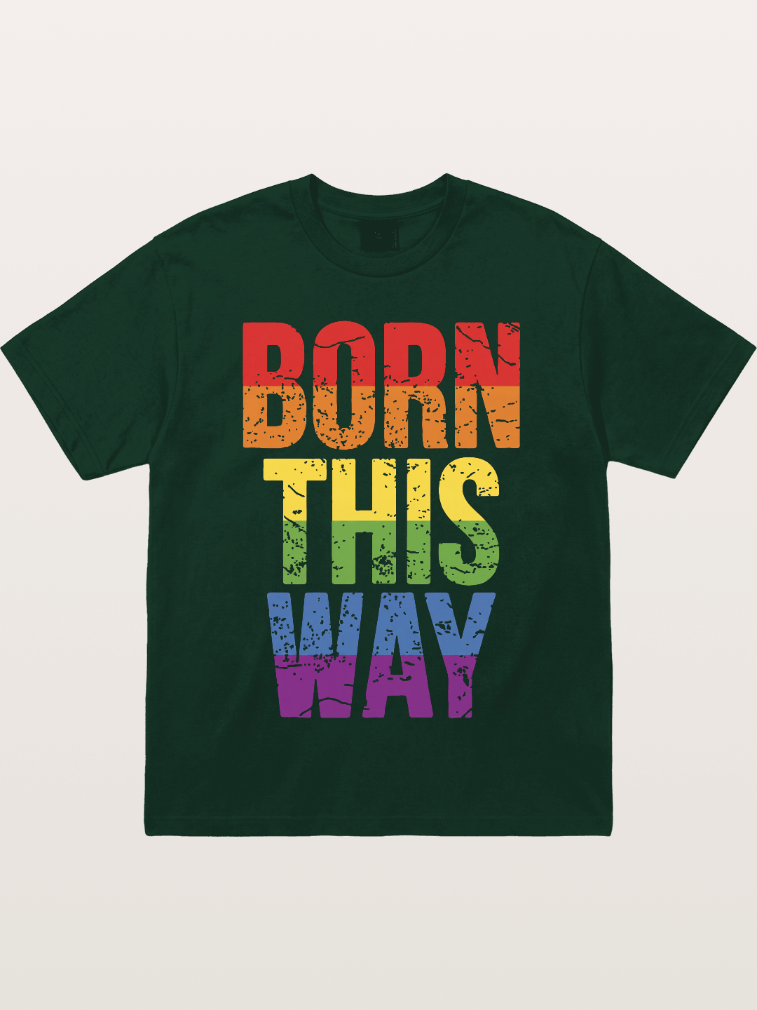 Born This Way Retro Rainbow Text Gildan T-shirt