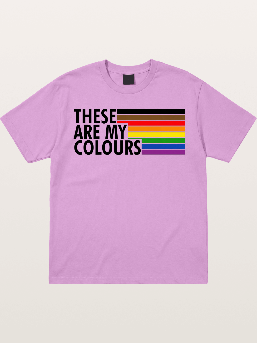 These Are My Colours Progress Flag Gildan T-shirt