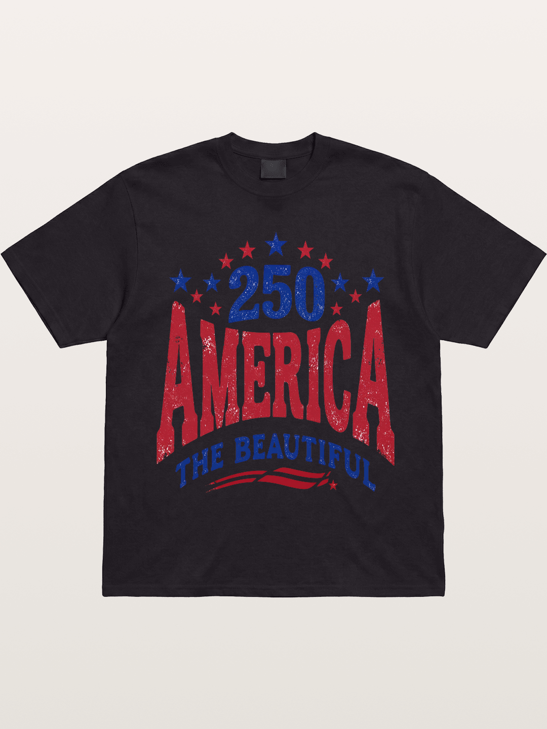 America The Beautiful Vintage Gildan T-shirt